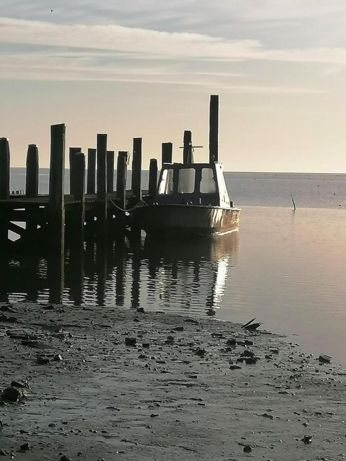 Dock10Texel Bed and Breakfast De Cocksdorp  Exteriör bild